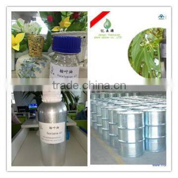 Free Sample Pure Natrural Eucalyptus Oil Extract Bulk Gmp With Best Price for Wholesale