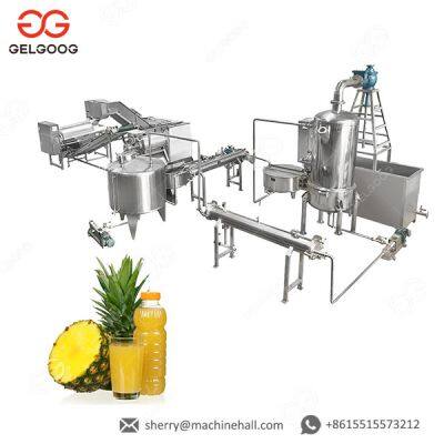 Professional Stainless Steel Mango Juice Processing Line Mango Juice Plant