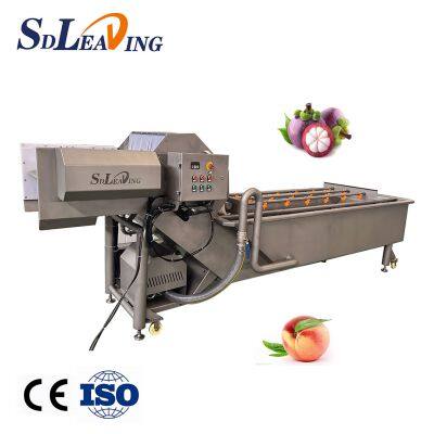 Commercial Washing Machine Fruit Vegetable Washer Bubble Cleaning Equipment photo-5