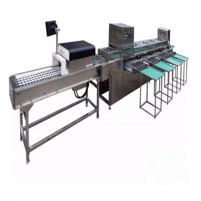 Top Quality Egg Yolk Powder Production Line