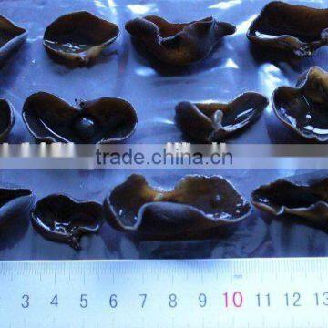 Dried Edible Black Fungus