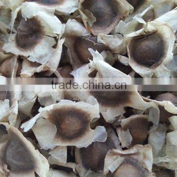 Grade One Moringa PKM 1 Seeds For Sales