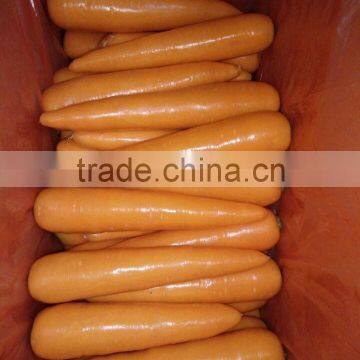 Carrot Price photo-4