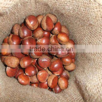 Fresh Chinese Dandong Chestnut photo-4