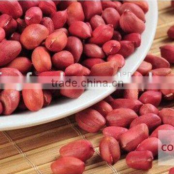 RED SKIN PEANUT KERNELS