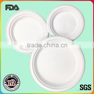 Biodegradable Cheap Price Bagasse Food Tray