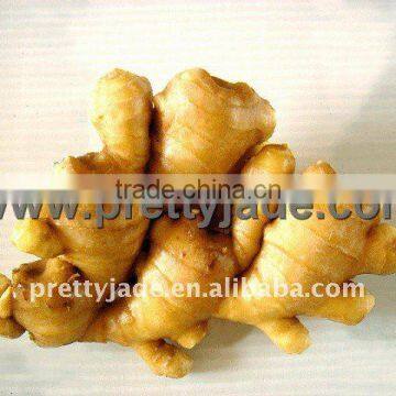 Chinese wholesale ginger