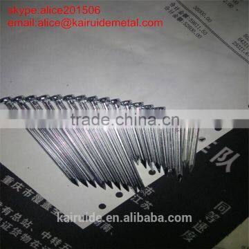 Common Wire Nail/competitive Price Iron Nail Factory photo-4