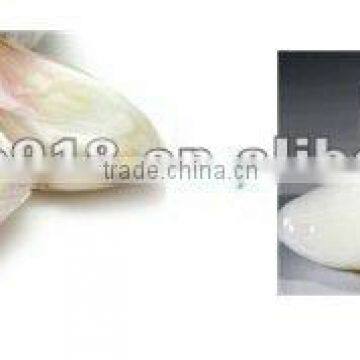 Garlic skin peeling machine