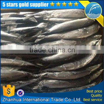 seafrozen pacific saury fish carton packing