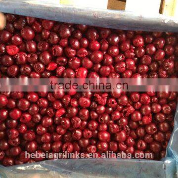 Frozen fresh style sour cherry high quality