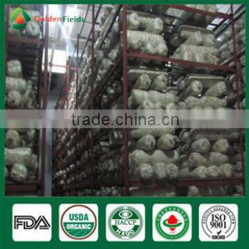 Wholesale Factory Price China Supplier Organic Shiitake Mushroom Growing Kits Bag photo-2