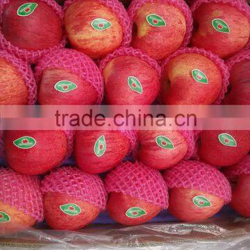 SELECTED QINGUAN APPLES