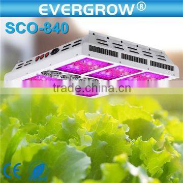 EverGrow 2016 Saga series Full Spectrum for Hydroponics plant hans panel led grow light