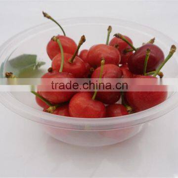 95ml environmental plastic jelly cup