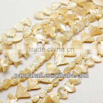 Natural Sea Shell Beads Strands(SSHEL-D070-M1)