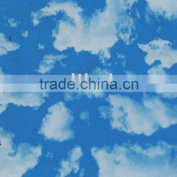 Hc 909-1 Transfer Film