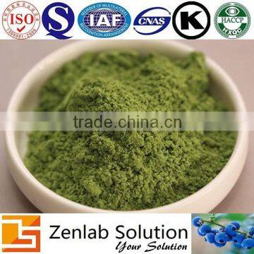 Moringa Oleifera Leaf Extract Powder photo-3