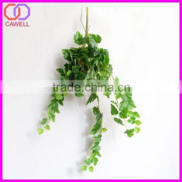 Important of Ornamental Plant photo-3