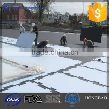 OEM Uhmwpe Sheet Ice Skating/Manufacturer Directory/ice Skating Rinks photo-2