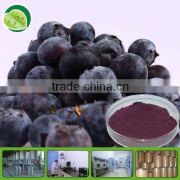 Free sample of bilberry extract powder
