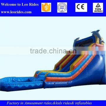 Hippo Inflatable Water Slide With Pool for Adult and Kids