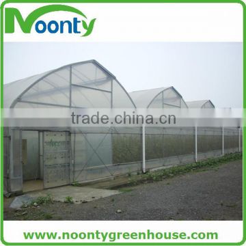 Butterfly Ventilation Greenhouse