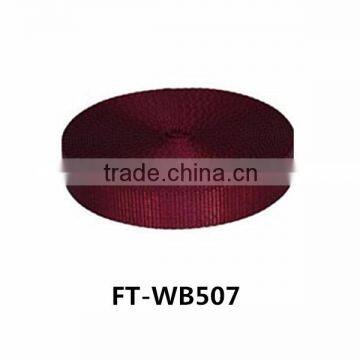 2014 New Colorful Nylon Cotton pp Webbing Rolls-wide10-80mm FT-WB507