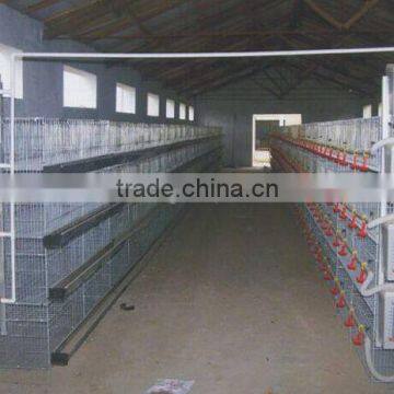 H type best price poultry farm egg layer chicken cages (lydia : 0086-15965977837)