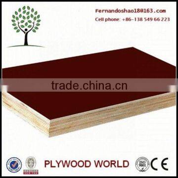 18mm Phenolic Plywood Construction Boards, Concrete Formwork Panels