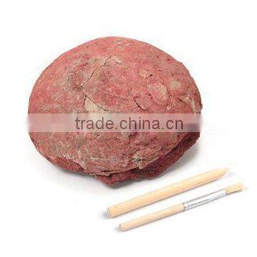 Dino Egg Dig Kits Dinosaur Baby Model photo-3