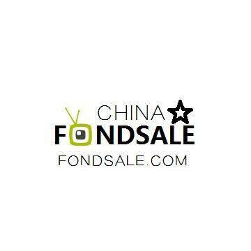 Fondsale Electronics Technology International Trade Co., Ltd company overview - view 1
