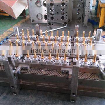 PET molde de preforma