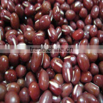 Azuku bean/Small Red Beans 2010 CROP