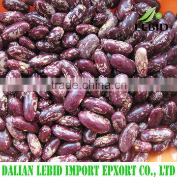 Good price of purple speckled kidney beans