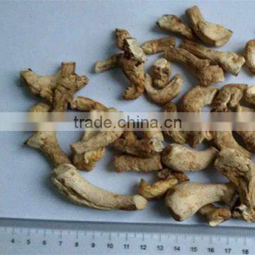 Chinese food natural Dried Dry Shiitake Mushroom Supplier