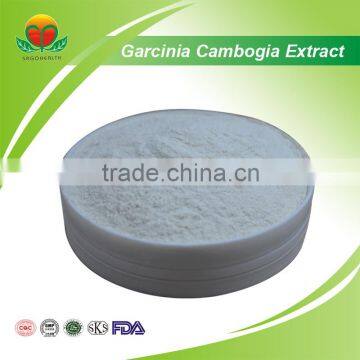 Best Selling Garcinia Cambogia Extract