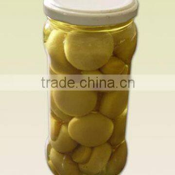 Chinese canned mushroom manufacturer