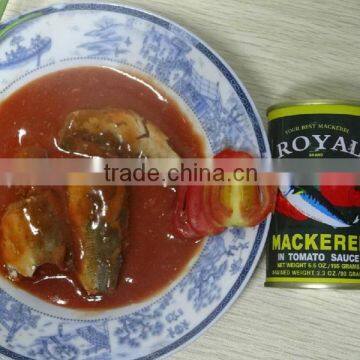 2014 best selling seafood canned mackerel in tomato sauce