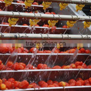 Tomato Paste Best Price With Drum Packing