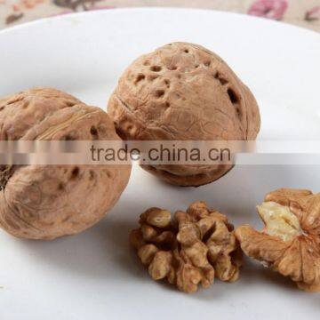 Natural Unshelled Walnuts Thin skin organic Walnuts in Shell,raw walnut