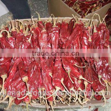 Chinese Dried Chili/chili Peppers,American Red Chili photo-3