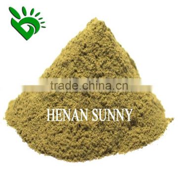 Golded Supplier with ISO9001 HACCP BRC OU Green Chilli Pepper Powder