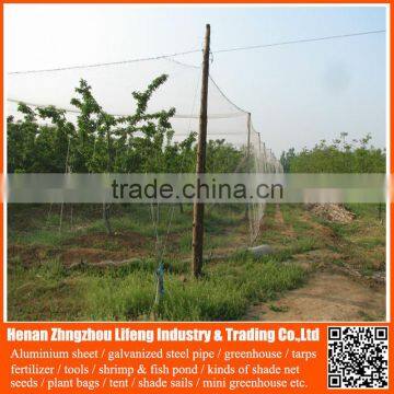 dark pe greenhouse anti bird net , nylon agricultural bird netting , plastic green bird control screen mesh net