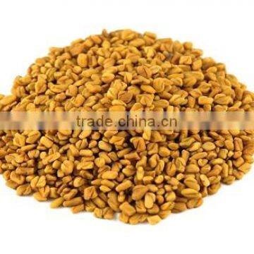 Fenugreek seeds and powder