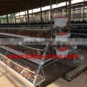 TAIYU Chicken Cages for Kenya Hen Farm (Local Agent, Whole Year Stock, Visit Customers Every Year)