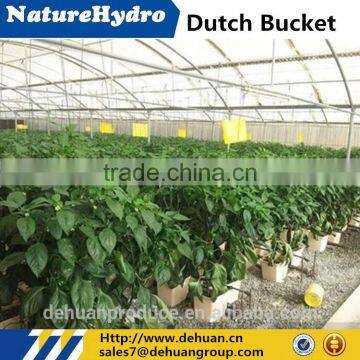 Popular Dutch Bucket Hydroponic Growing Systems Greenhouse