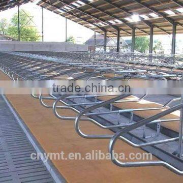 Cattle Farm Cattle Free Stall