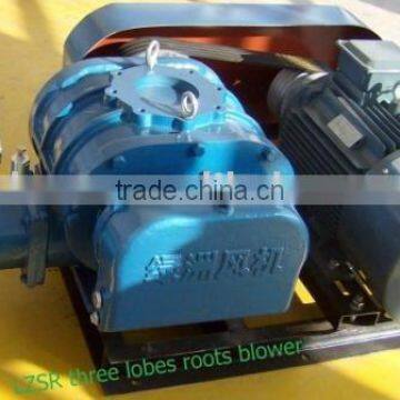 roots blower /roots pump/air blower/vacuum pump/water treatment