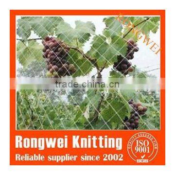 HDPE agricultural bird netting